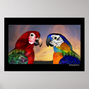 HYPER PAPEGAAIEN / RODE EN BLAUWE ARA POSTER