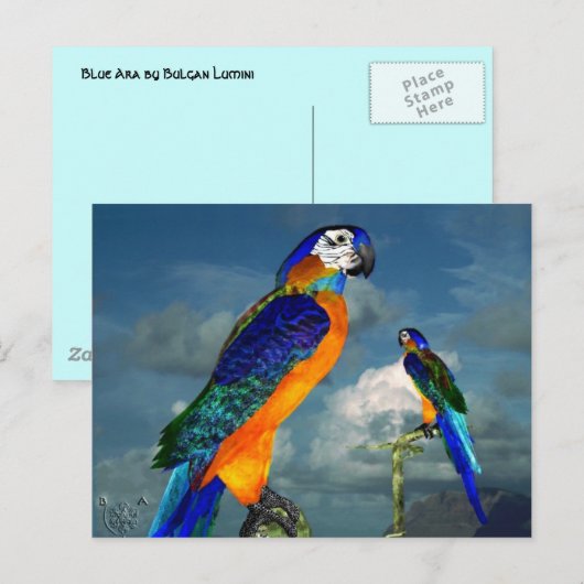 HYPER PARROTS/BLAUWE ARA BRIEFKAART (Voorkant / Achterkant)