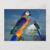 HYPER PARROTS/BLAUWE ARA BRIEFKAART (Voorkant)