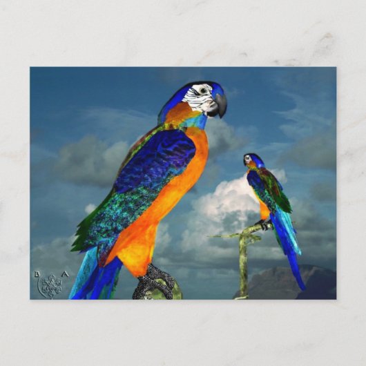 HYPER PARROTS/BLAUWE ARA BRIEFKAART (Voorkant)