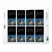 HYPER PARROTS/BLAUWE ARA ETIKET (Full Sheet)