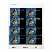 HYPER PARROTS/BLAUWE ARA ETIKET (Full Sheet)
