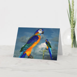 HYPER PARROTS/BLAUWE ARA KAART