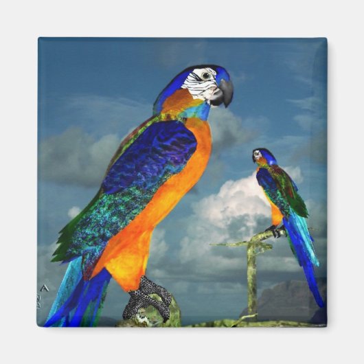 HYPER PARROTS/BLAUWE ARA MAGNEET (Voorkant)