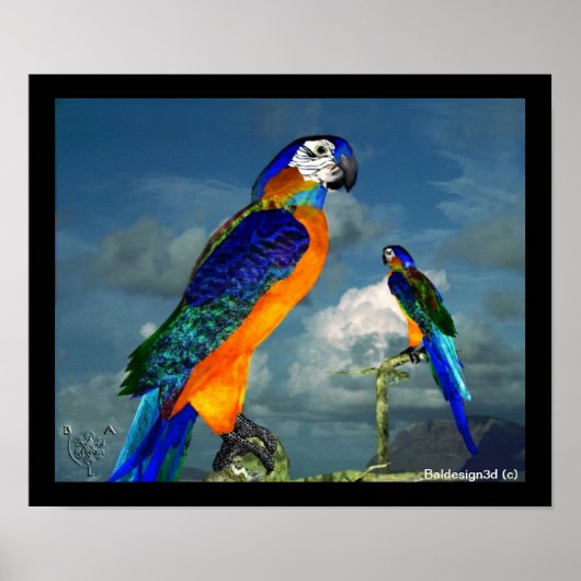 HYPER PARROTS/BLAUWE ARA POSTER (Voorkant)