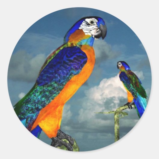 HYPER PARROTS/BLAUWE ARA RONDE STICKER (Voorkant)