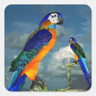 HYPER PARROTS/BLAUWE ARA VIERKANTE STICKER
