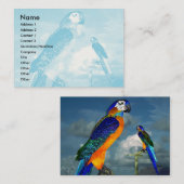 HYPER PARROTS/BLAUWE ARA VISITEKAARTJE (Voorkant / Achterkant)