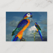 HYPER PARROTS/BLAUWE ARA VISITEKAARTJE (Achterkant)