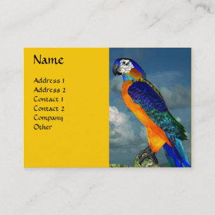 HYPER PARROTS/BLAUWE ARA VISITEKAARTJE