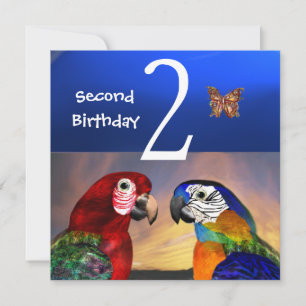 HYPER PARROTS/First Birthday Party Kaart