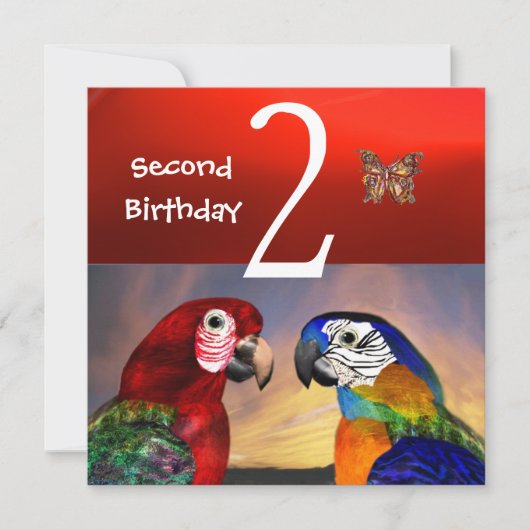 HYPER PARROTS/First Birthday Party, Red Kaart (Voorkant)