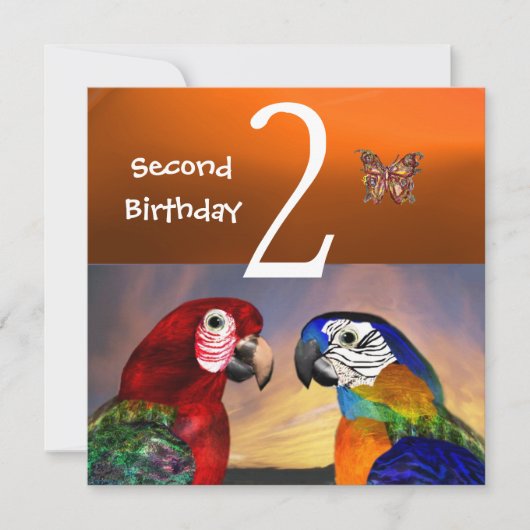 HYPER PARROTS/First Birthday Party, Sinaasappel Kaart (Voorkant)