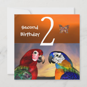 HYPER PARROTS/First Birthday Party, Sinaasappel Kaart