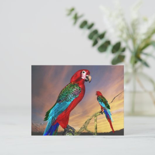 HYPER PARROTS/RODE ARA BRIEFKAART (Staand voorkant)