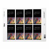 HYPER PARROTS/RODE ARA ETIKET (Full Sheet)