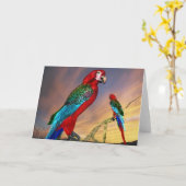 HYPER PARROTS/RODE ARA KAART (Gele Bloem)