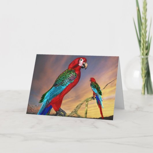 HYPER PARROTS/RODE ARA KAART (Voorkant)