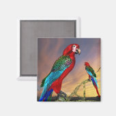 HYPER PARROTS/RODE ARA MAGNEET (Voorkant / Achterkant)