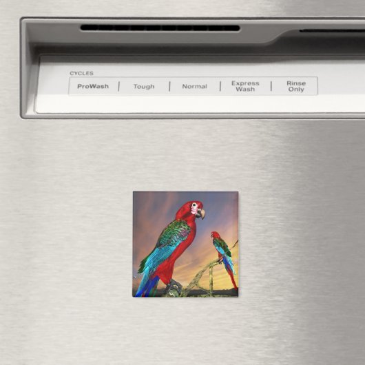 HYPER PARROTS/RODE ARA MAGNEET (Insitu (Vaatwasser))