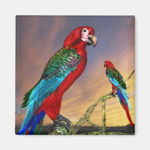 HYPER PARROTS/RODE ARA MAGNEET