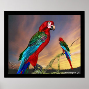 HYPER PARROTS/RODE ARA POSTER