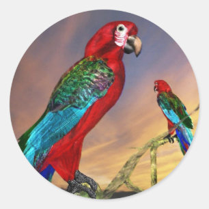 HYPER PARROTS/RODE ARA RONDE STICKER