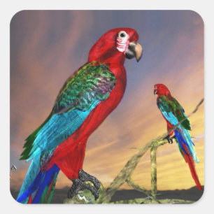 HYPER PARROTS/RODE ARA VIERKANTE STICKER