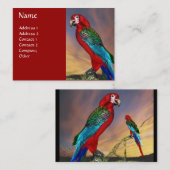 HYPER PARROTS/RODE ARA VISITEKAARTJE (Voorkant / Achterkant)