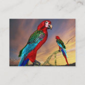 HYPER PARROTS/RODE ARA VISITEKAARTJE (Achterkant)