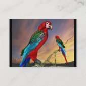 HYPER PARROTS/RODE ARA, zwart Visitekaartje (Achterkant)