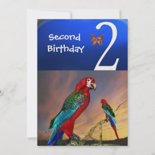 HYPER PARROTS/Second Birthday Party, Champagne Kaart