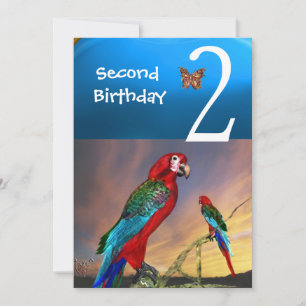 HYPER PARROTS/Tweede Birthday Party Turquase Kaart