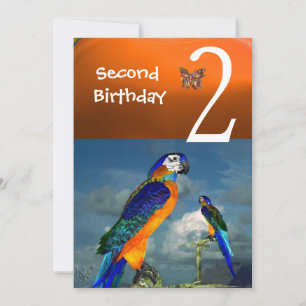 HYPER PARROTS / Tweede verjaardag Oranje blauw Kaart