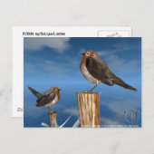 HYPER VOGELS/ROBINEBROOST BRIEFKAART (Voorkant / Achterkant)