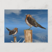 HYPER VOGELS/ROBINEBROOST BRIEFKAART (Voorkant)