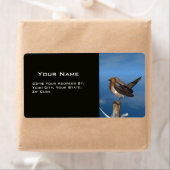 HYPER VOGELS/ROBINEBROOST ETIKET (Insitu)