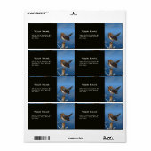 HYPER VOGELS/ROBINEBROOST ETIKET (Full Sheet)