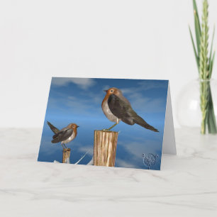 HYPER VOGELS/ROBINEBROOST FEESTDAGEN KAART