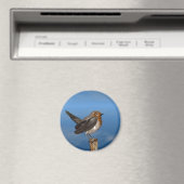 HYPER VOGELS/ROBINEBROOST MAGNEET (Insitu (Vaatwasser))