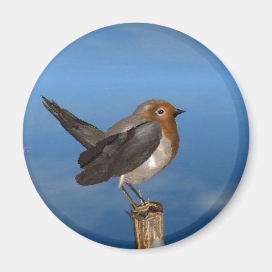 HYPER VOGELS/ROBINEBROOST MAGNEET (Voorkant)