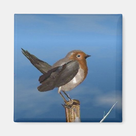 HYPER VOGELS/ROBINEBROOST MAGNEET (Voorkant)