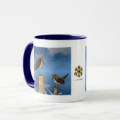 HYPER VOGELS/ROBINEBROOST MOK (Voorkant links)