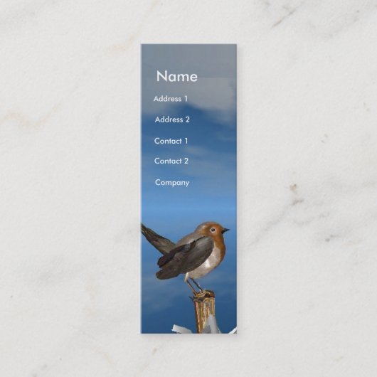 HYPER VOGELS/ROBINEBROOST MONOGRAM MINI VISITEKAARTJE (Voorkant)