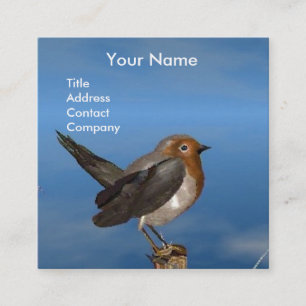 HYPER VOGELS/ROBINEBROOST MONOGRAM VIERKANTE VISITEKAARTJE