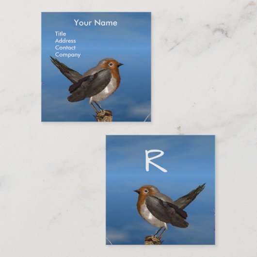 HYPER VOGELS/ROBINEBROOST MONOGRAM VIERKANTE VISITEKAARTJE (Voorkant / Achterkant)