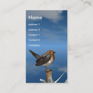 HYPER VOGELS/ROBINEBROOST MONOGRAM VISITEKAARTJE