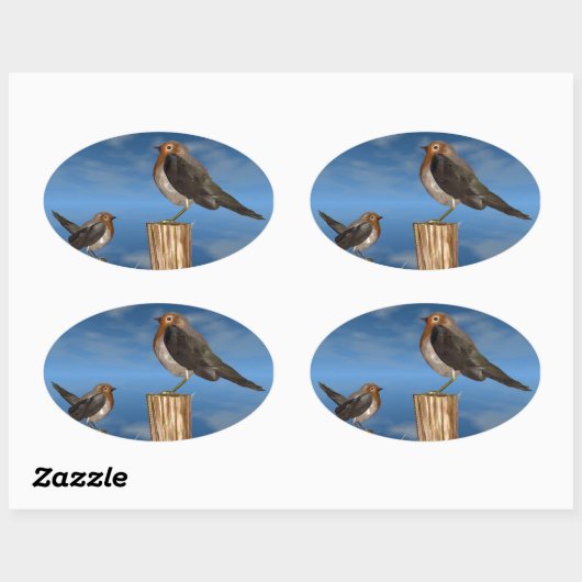 HYPER VOGELS/ROBINEBROOST OVALE STICKER (Vel)