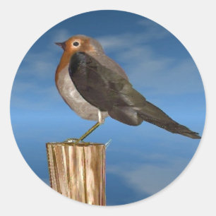 HYPER VOGELS/ROBINEBROOST RONDE STICKER