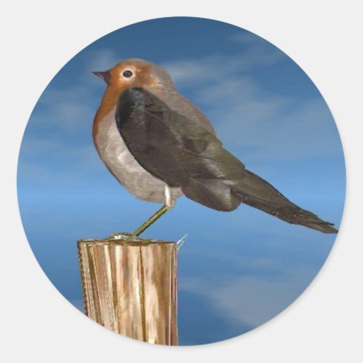 HYPER VOGELS/ROBINEBROOST RONDE STICKER (Voorkant)